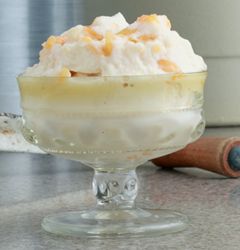 Sugar-Free Peach Ice Cream