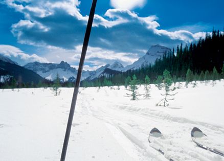 Earth angel saves skiers