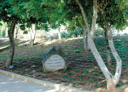 Yad Vasehn, a memorial to people who fought against the Holocaust.