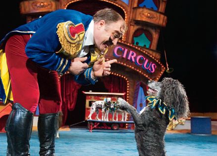 Luciano's Circus Pups