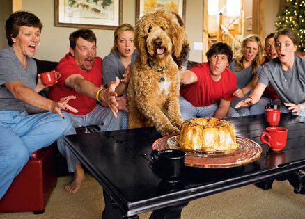 Lacie (far right) and her family try to keep Hank from enjoy more pull-aparts