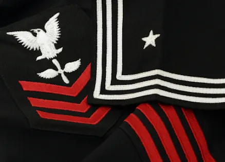 Navy uniform close-up of eagle and stripes.