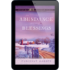 An Abundance of Blessings - ePub (kindle/Nook version)