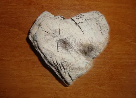 The driftwood heart Nancy found at the lake where she and Jim vacationed