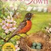 Talk of the Town Soft cover