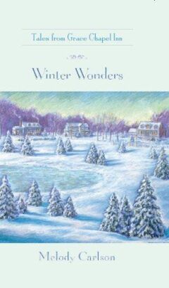 Winter Wonders Book Cover