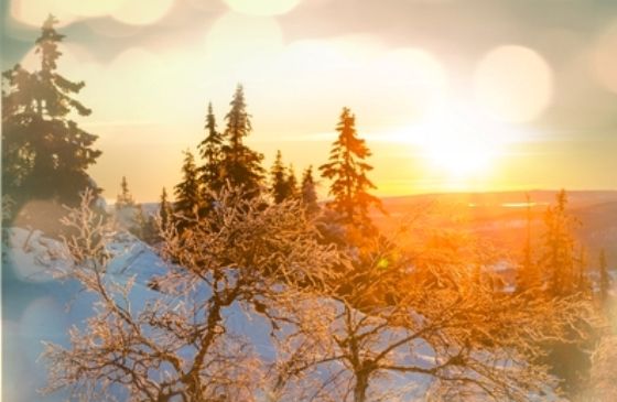 beautiful winter sunrise