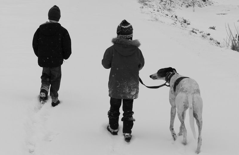 Stories of Faith blogger Shawnelle Eliasen's sons walking in the snow with dog