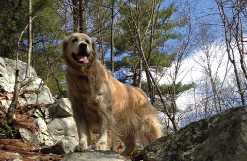 Millie leading Guideposts editor in chief Edward Grinnan up Squaw Peak Trail