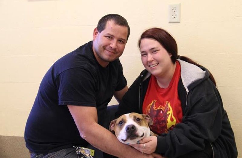 Monmouth County, New Jersey, couple and their dog