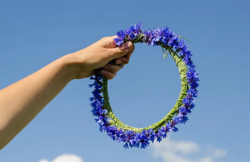 A crown of flowers against the sky.