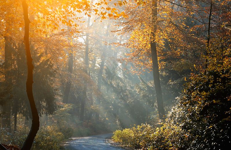 A scene filled with light. Photo by Balazs Kovacs Images for Shutterstock.