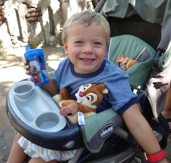 One of Michelle's grandsons takes in the sights of Disney World.