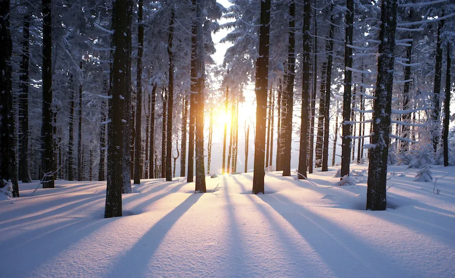 Winter sunset. Photo by psynovec, Thinkstock.