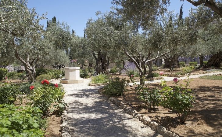 Garden of Gethsemane