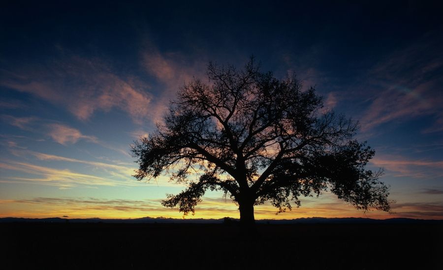 A quiet place to listen to God.