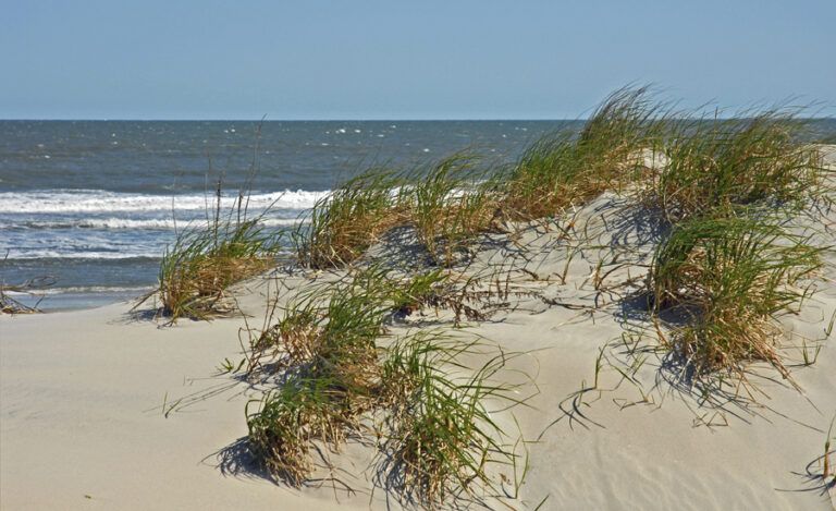 beach Jersey Shore