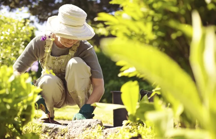 A woman pulls weeds and discovers a tip to apply to her prayer life.