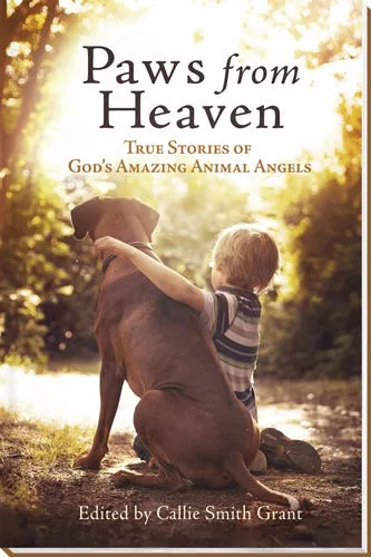 Paws from Heaven: True Stories of God's Amazing Animal Angels