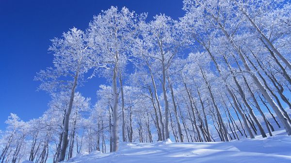 When fresh snow is like having a pure heart.