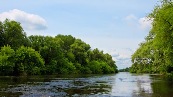 The river of God's peace wash over you.