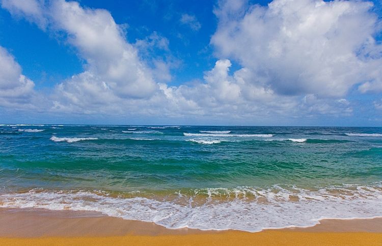 Beautiful beach beneath puffy clouds in blue sky. Kauai, Hawaii, USA