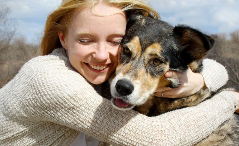 teach your dog to pray