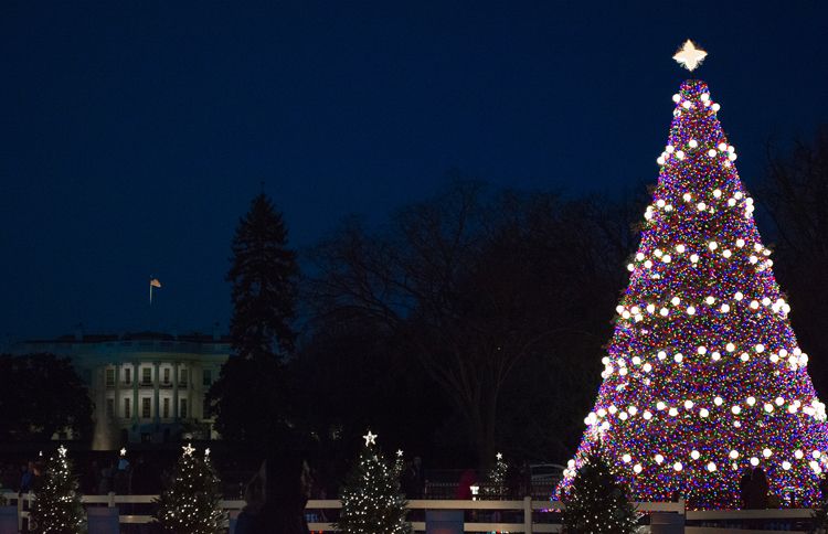 Guideposts: The National Christmas Tree has been a holiday tradition since  1923.