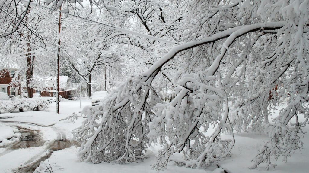 How a power outage blessed a family