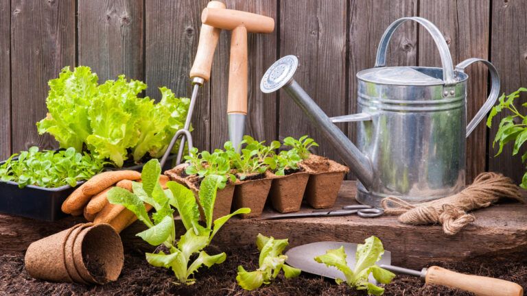 The health benefits of gardening