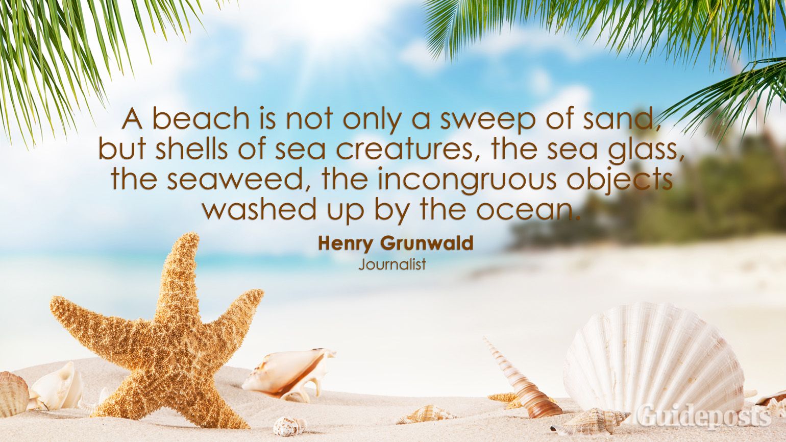 A beach is not only a sweep of sand, but shells of sea creatures, the sea glass, the seaweed, the incongruous objects washed up by the ocean. Henry Grunwald