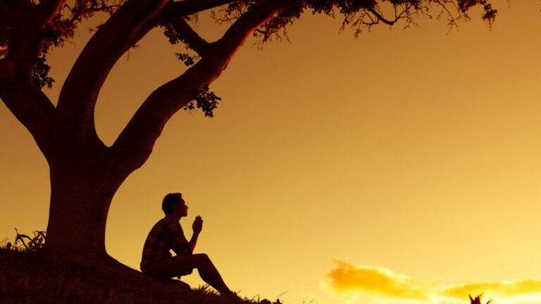 Man under a tree looking up to God in prayer.