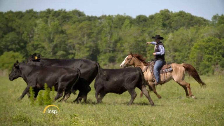 These Modern-Day Cowboys Bring Their Values to Television