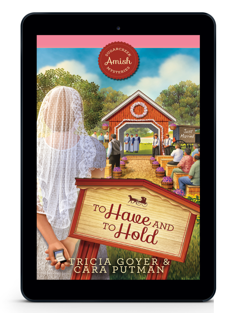 To Have and to Hold - Sugarcreek Amish Mysteries - Book 24
