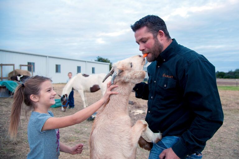 As soon as they were able to put up a fence, the Hances rescued two goats. The kids were immediately taken by them. By the end of one week they added five more to the herd.