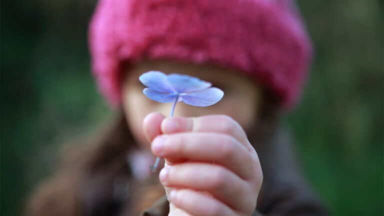 A little girl offers a flower as a gesture of reconciliation