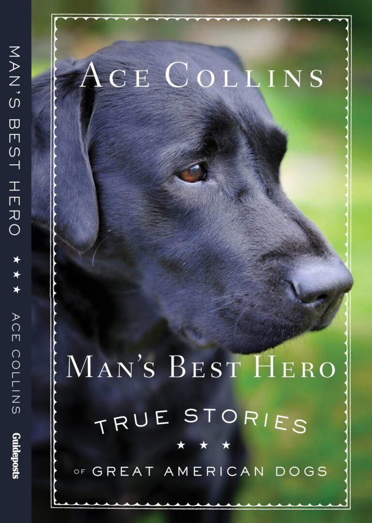 Man's Best Hero Book Cover