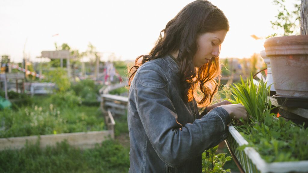 Gardening