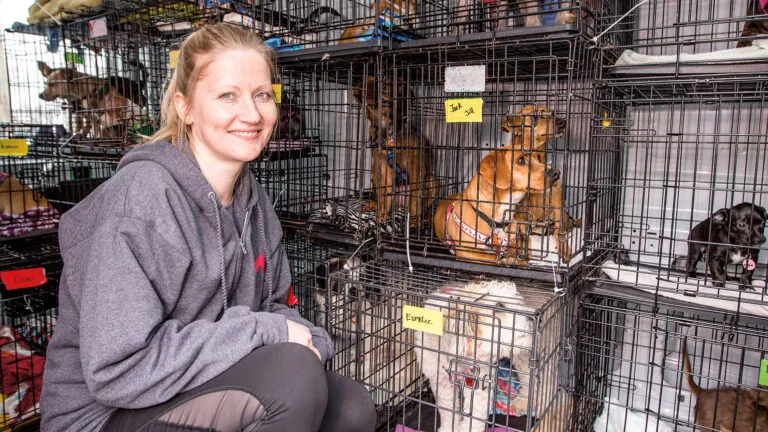 Nina poses with some of her canine friends