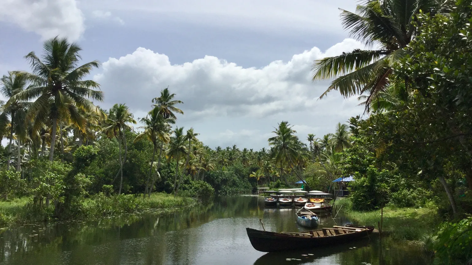 A scenic river with a boat in the middle of green, lush woodlands.