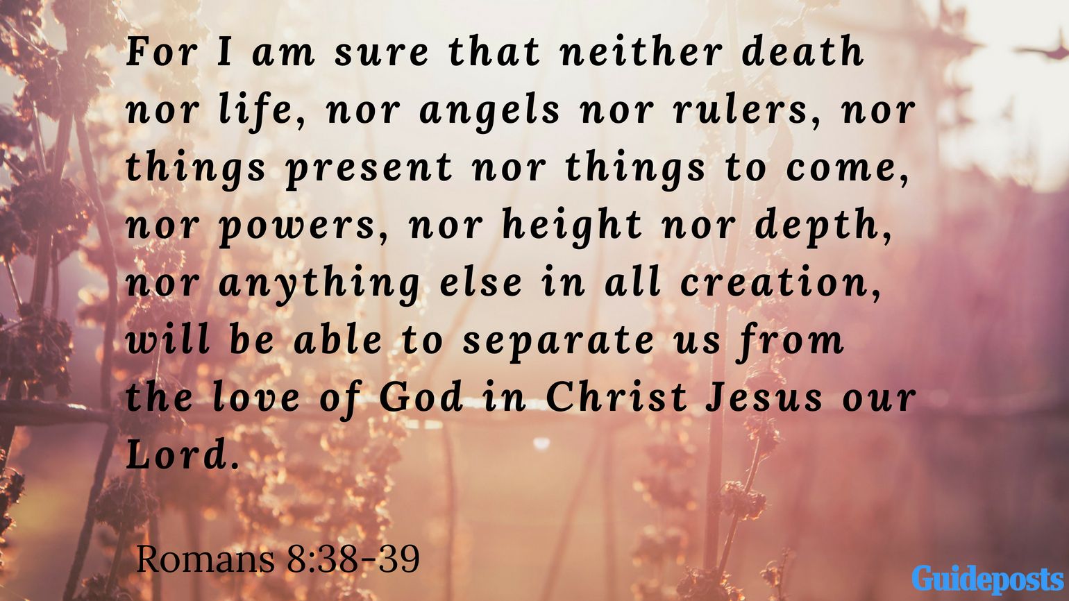 Bible Verse for Coping With Grief: For I am sure that neither death nor life, nor angels nor rulers, nor things present nor things to come, nor powers, nor height nor depth, nor anything else in all creation, will be able to separate us from the love of God in Christ Jesus our Lord. Romans 8:38-39 Better Living Life Advice