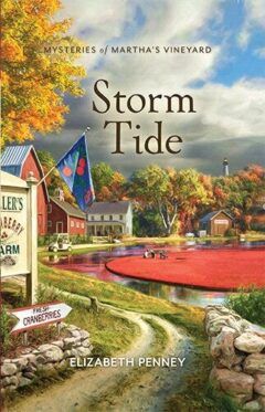 Storm Tide Book Cover