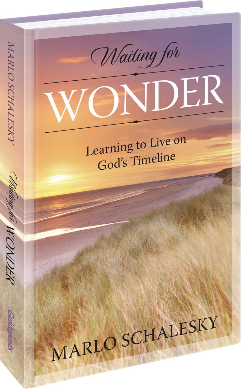 Waiting for Wonder Book Cover