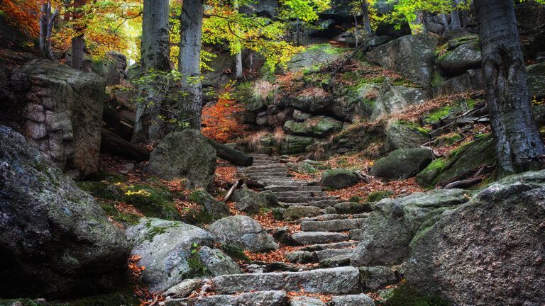 Stone steps up  the side of a mountain