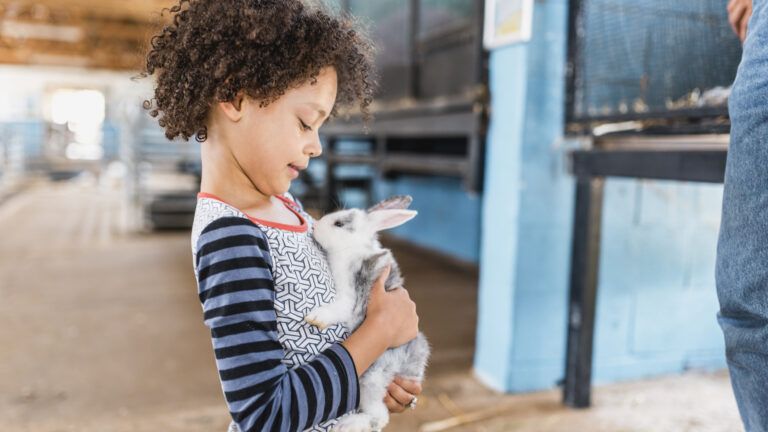 Holding a pet rabbit