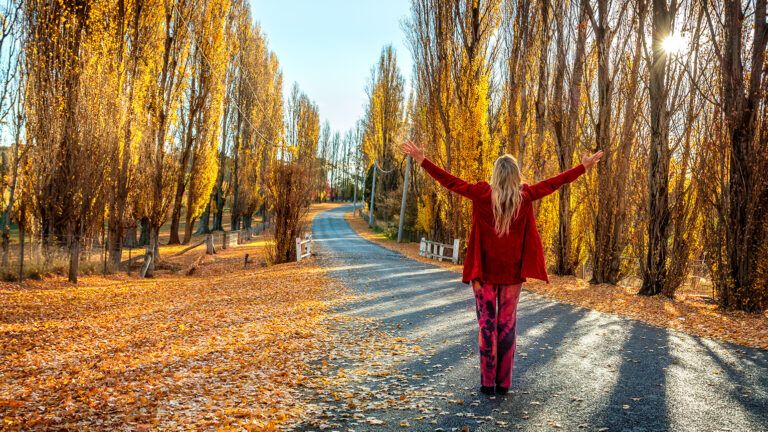 A woman raises her hands in the arm on a sunny autumnal day