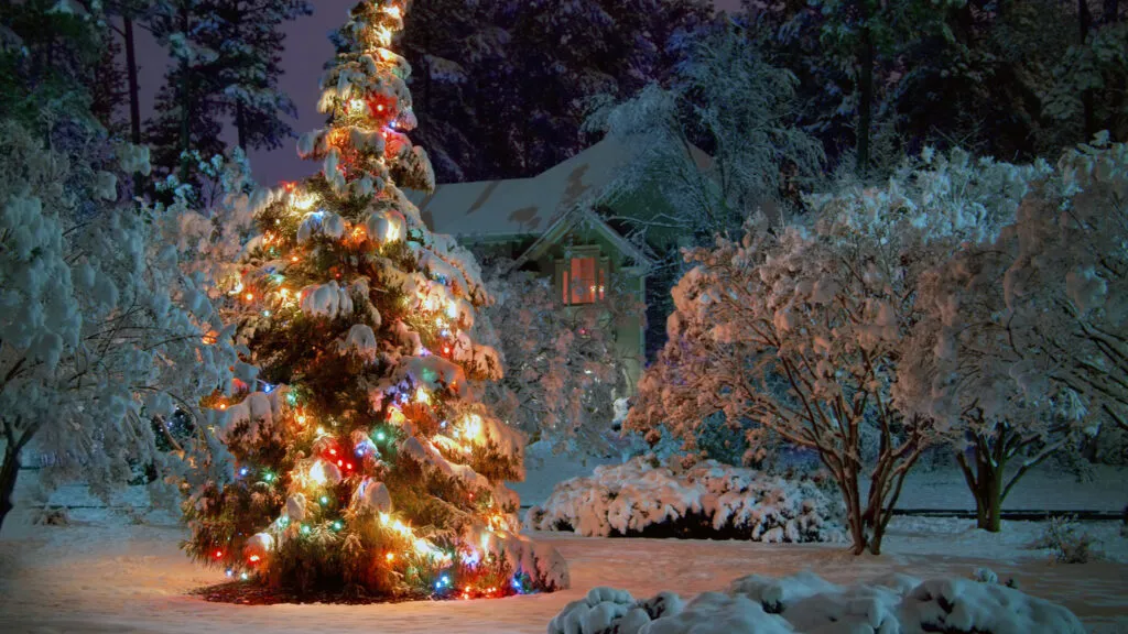 A lit Christmas tree outside in the snow with a Christmas prayer of hope