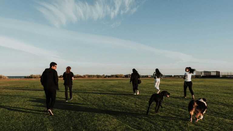 Group of people jogging on a green field during daytime.