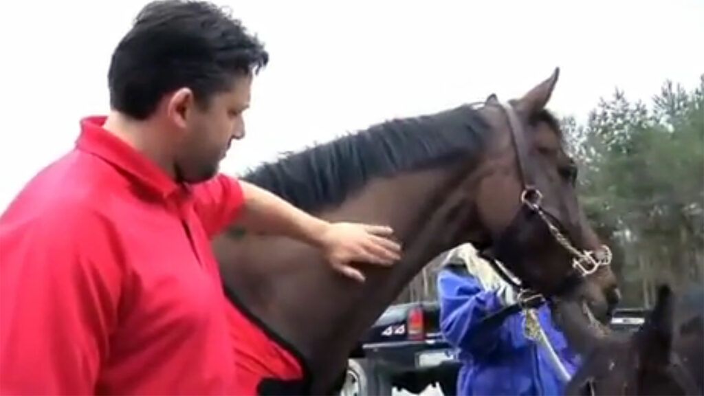 Racecar driver Tony Stewart with an equine friend