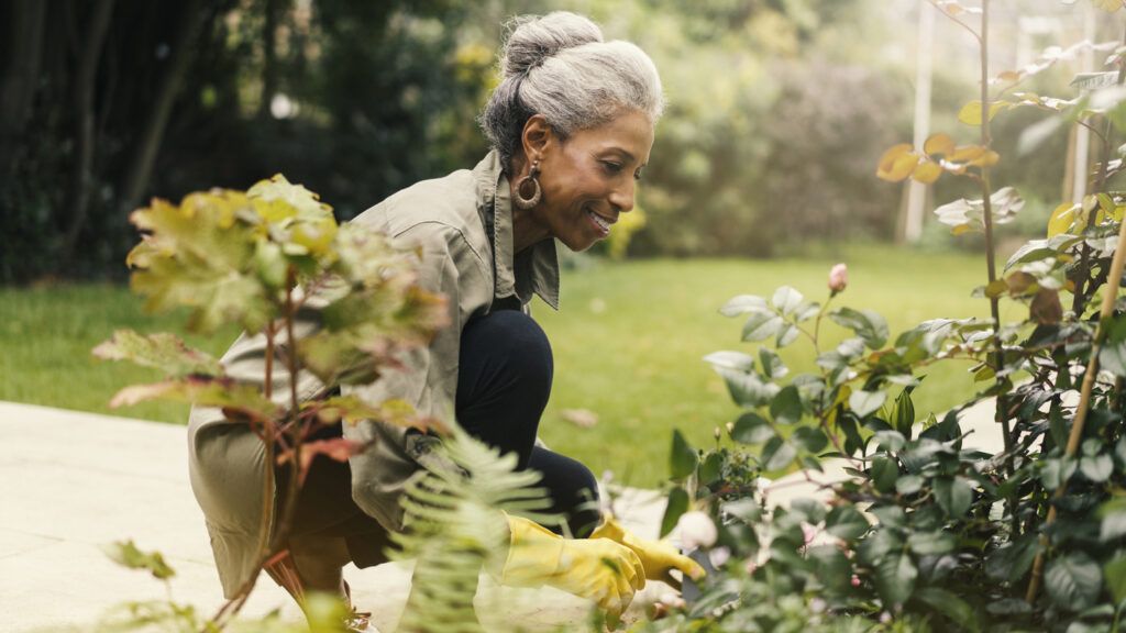 gardeningsenior_marquee